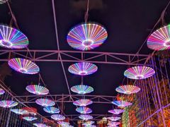 -万绿园