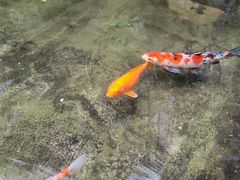 -漫笙舍Manse·咖啡·民宿
