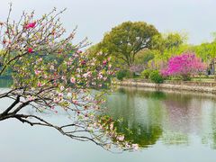 -无锡蠡湖国家湿地公园-蠡园