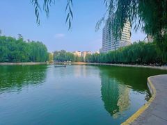 -团结湖公园