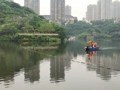 -重庆彩云湖湿地公园