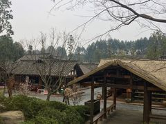 -秀丽东方