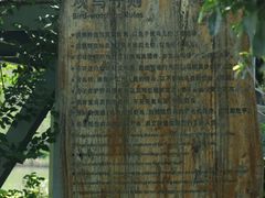 -华侨城湿地公园