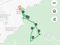 -紫金山山顶公园