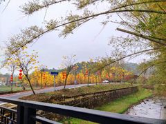 -红山村
