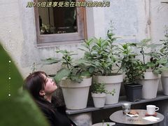 -素咫咖啡CLIFEROSE
