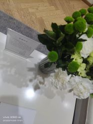 -HEYAN荷妍专业脱毛连锁机构