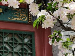 -海棠花溪(元大都城垣遗址公园)