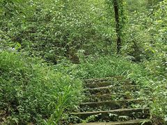 -青城山