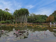 -中国科学院西双版纳热带植物园
