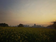 -光明小镇欢乐田园