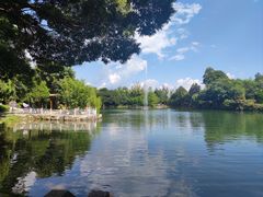 -大理洱海
