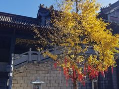 -冕宁灵山寺
