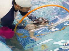 -水宝贝亲子游泳·水育早教运动中心(南海广场店)