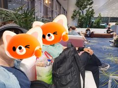 -广州白云国际机场-T2航站楼