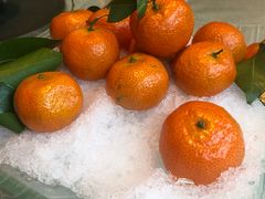 -皇朝尊会(龙之梦大酒店)