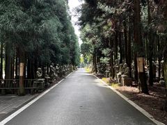 -武陵山森林公园