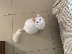 -纳吉亚猫专科动物医院·北北分院