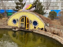 -南宫五洲植物乐园