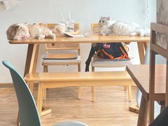 -猫小主咖啡·猫咖cat cafe(福田店)