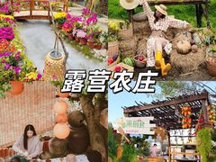 -上海山野camping·户外天幕烧烤·团建拓展营地