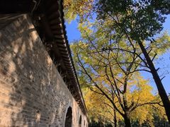 -灵谷景区