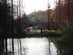 -云溪植物园