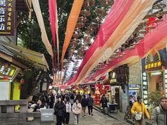 -重庆十八梯传统风貌区