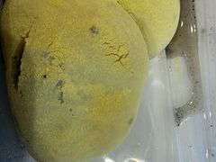 -沈记青团