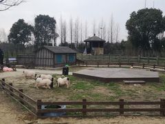 -田园东方蜜桃村的田野营地