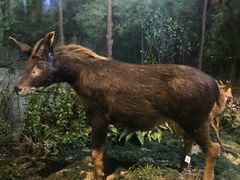 -陕西自然博物馆