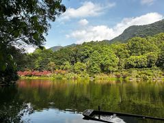 -深圳仙湖植物园