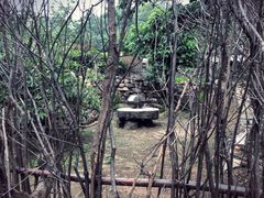 景点-大岭沟猕猴桃谷风景区