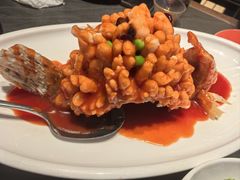 -小厨娘金榜题名(夫子庙秦淮河店)