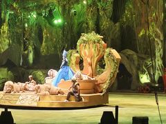 -广州长隆国际大马戏