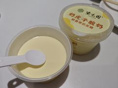 奶皮子酸奶-紫光园(劲松店)