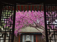 -万寿八仙宫