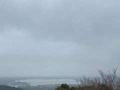 -香雪海