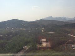 -石家庄市动物园