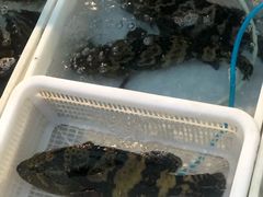 水产区-先锋海鲜市场