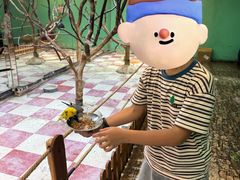 -上海大自然野生昆虫馆(东方明珠·爬宠昆虫探索中心)