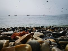 -银沙滩浴场