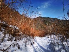 -秦岭风景区