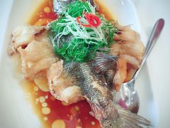 -至潮餐厅精致粤菜·活鲈鱼·走地鸡(珠江新城店)