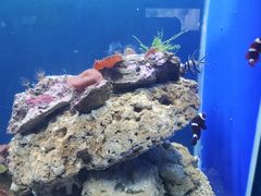 -常州海昌海洋探索馆