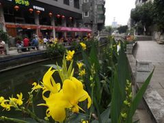 -黄埔古港