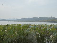 -湖畔居茶楼(湖滨店)