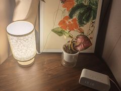 -青曼SPA·按摩·采耳·足道(龙之梦店)