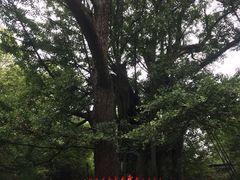 -西湖风景区十里琅珰-五云山