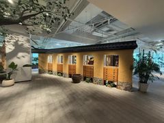 -大视光学•LINDBERG林德伯格•全球手工眼镜集合店(王府井店)